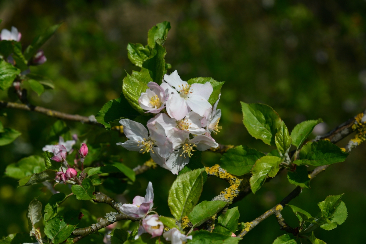 DSC_9643.jpeg